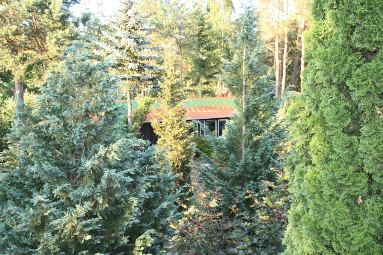 Holiday Villa Zuromino Экстерьер фото